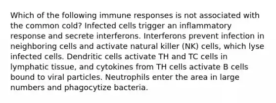 Which of the following immune responses is not associated with the common cold? Infected cells trigger an inflammatory response and secrete interferons. Interferons prevent infection in neighboring cells and activate natural killer (NK) cells, which lyse infected cells. Dendritic cells activate TH and TC cells in lymphatic tissue, and cytokines from TH cells activate B cells bound to viral particles. Neutrophils enter the area in large numbers and phagocytize bacteria.