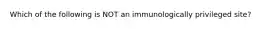 Which of the following is NOT an immunologically privileged site?