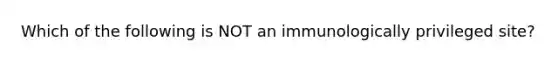 Which of the following is NOT an immunologically privileged site?