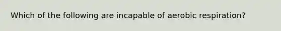 Which of the following are incapable of <a href='https://www.questionai.com/knowledge/kyxGdbadrV-aerobic-respiration' class='anchor-knowledge'>aerobic respiration</a>?