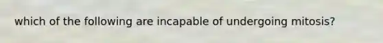 which of the following are incapable of undergoing mitosis?