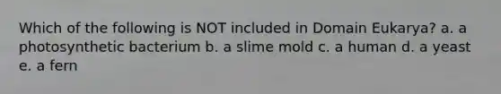 Which of the following is NOT included in Domain Eukarya? a. a photosynthetic bacterium b. a slime mold c. a human d. a yeast e. a fern