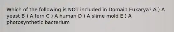 Which of the following is NOT included in Domain Eukarya? A ) A yeast B ) A fern C ) A human D ) A slime mold E ) A photosynthetic bacterium