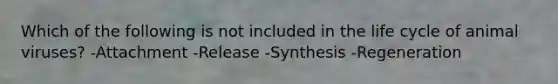 Which of the following is not included in the life cycle of animal viruses? -Attachment -Release -Synthesis -Regeneration