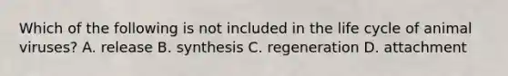 Which of the following is not included in the life cycle of animal viruses? A. release B. synthesis C. regeneration D. attachment