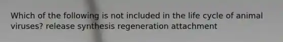 Which of the following is not included in the life cycle of animal viruses? release synthesis regeneration attachment