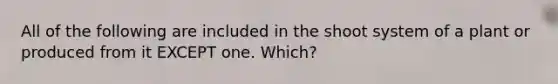 All of the following are included in the shoot system of a plant or produced from it EXCEPT one. Which?