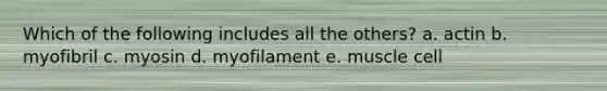 Which of the following includes all the others? a. actin b. myofibril c. myosin d. myofilament e. muscle cell