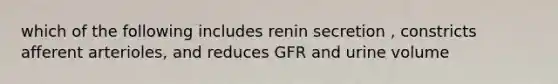 which of the following includes renin secretion , constricts afferent arterioles, and reduces GFR and urine volume