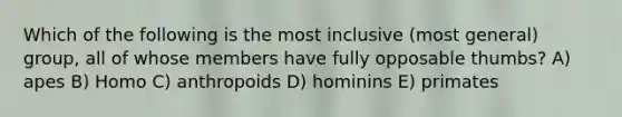 Which of the following is the most inclusive (most general) group, all of whose members have fully opposable thumbs? A) apes B) Homo C) anthropoids D) hominins E) primates