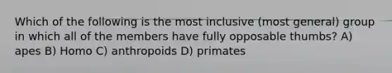 Which of the following is the most inclusive (most general) group in which all of the members have fully opposable thumbs? A) apes B) Homo C) anthropoids D) primates