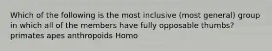 Which of the following is the most inclusive (most general) group in which all of the members have fully opposable thumbs? primates apes anthropoids Homo