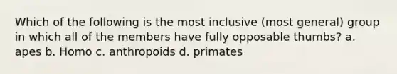 Which of the following is the most inclusive (most general) group in which all of the members have fully opposable thumbs? a. apes b. Homo c. anthropoids d. primates