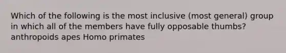 Which of the following is the most inclusive (most general) group in which all of the members have fully opposable thumbs? anthropoids apes Homo primates