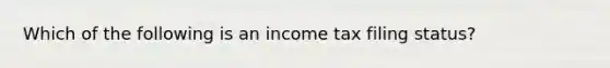 Which of the following is an income tax filing status?