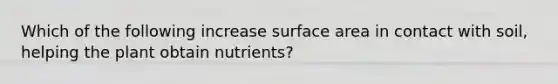 Which of the following increase surface area in contact with soil, helping the plant obtain nutrients?