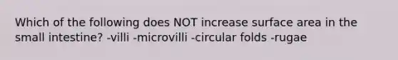 Which of the following does NOT increase surface area in the small intestine? -villi -microvilli -circular folds -rugae