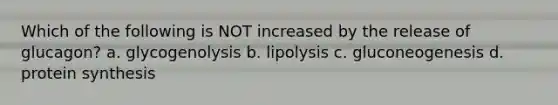 Which of the following is NOT increased by the release of glucagon? a. glycogenolysis b. lipolysis c. gluconeogenesis d. protein synthesis