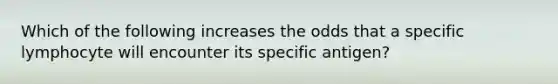 Which of the following increases the odds that a specific lymphocyte will encounter its specific antigen?