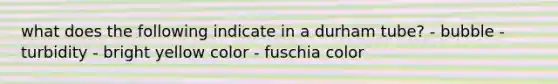 what does the following indicate in a durham tube? - bubble - turbidity - bright yellow color - fuschia color