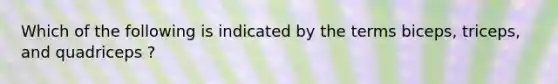 Which of the following is indicated by the terms biceps, triceps, and quadriceps ?