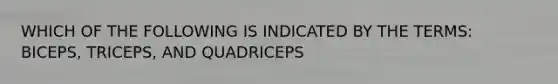 WHICH OF THE FOLLOWING IS INDICATED BY THE TERMS: BICEPS, TRICEPS, AND QUADRICEPS