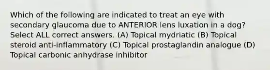 Which of the following are indicated to treat an eye with secondary glaucoma due to ANTERIOR lens luxation in a dog? Select ALL correct answers. (A) Topical mydriatic (B) Topical steroid anti-inflammatory (C) Topical prostaglandin analogue (D) Topical carbonic anhydrase inhibitor