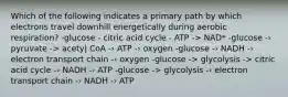 Which of the following indicates a primary path by which electrons travel downhill energetically during aerobic respiration? -glucose - citric acid cycle - ATP -> NAD* -glucose -› pyruvate -> acety| CoA -› ATP -› oxygen -glucose -› NADH -› electron transport chain -› oxygen -glucose -> glycolysis -> citric acid cycle -› NADH -› ATP -glucose -> glycolysis -› electron transport chain -› NADH -› ATP