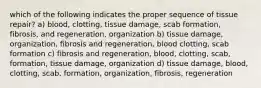 which of the following indicates the proper sequence of tissue repair? a) blood, clotting, tissue damage, scab formation, fibrosis, and regeneration, organization b) tissue damage, organization, fibrosis and regeneration, blood clotting, scab formation c) fibrosis and regeneration, blood, clotting, scab, formation, tissue damage, organization d) tissue damage, blood, clotting, scab, formation, organization, fibrosis, regeneration