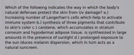 Which of the following indicates the way in which the body's natural defenses protect the skin from Uv damage? a.) Increasing number of Langerhan's cells which help to activate immune system b.) synthesis of three pigments that contribute to skin's color c.) carotene, which accumulates in stratum corneum and hypodermal adipose tissue, is synthesized in large amounts in the presence of sunlight d.) prolonged exposure to the sun iduces melanin dispersion, which in turn acts as a natural suncreen.