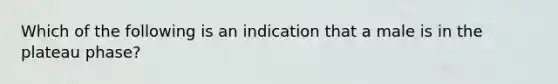 Which of the following is an indication that a male is in the plateau phase?