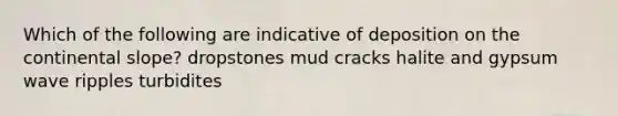 Which of the following are indicative of deposition on the continental slope? dropstones mud cracks halite and gypsum wave ripples turbidites