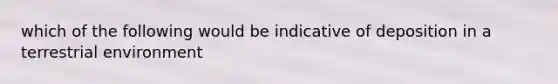 which of the following would be indicative of deposition in a terrestrial environment