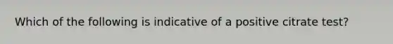 Which of the following is indicative of a positive citrate test?