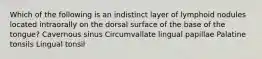 Which of the following is an indistinct layer of lymphoid nodules located intraorally on the dorsal surface of the base of the tongue? Cavernous sinus Circumvallate lingual papillae Palatine tonsils Lingual tonsil