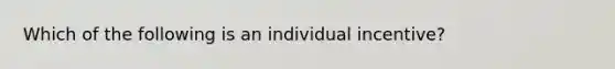 Which of the following is an individual incentive?