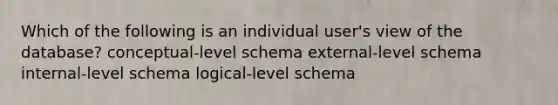 Which of the following is an individual user's view of the database? conceptual-level schema external-level schema internal-level schema logical-level schema