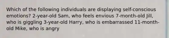 Which of the following individuals are displaying self-conscious emotions? 2-year-old Sam, who feels envious 7-month-old Jill, who is giggling 3-year-old Harry, who is embarrassed 11-month-old Mike, who is angry