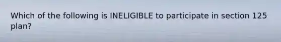 Which of the following is INELIGIBLE to participate in section 125 plan?