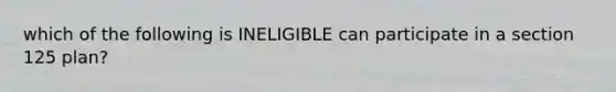 which of the following is INELIGIBLE can participate in a section 125 plan?