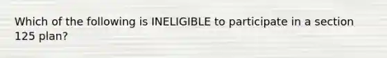 Which of the following is INELIGIBLE to participate in a section 125 plan?