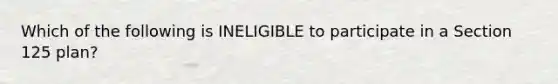 Which of the following is INELIGIBLE to participate in a Section 125 plan?