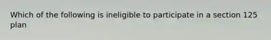 Which of the following is ineligible to participate in a section 125 plan