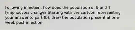 Following infection, how does the population of B and T lymphocytes change? Starting with the cartoon representing your answer to part (b), draw the population present at one-week post-infection.