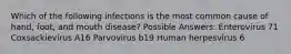 Which of the following infections is the most common cause of hand, foot, and mouth disease? Possible Answers: Enterovirus 71 Coxsackievirus A16 Parvovirus b19 Human herpesvirus 6