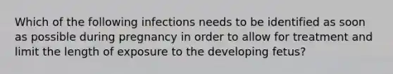 Which of the following infections needs to be identified as soon as possible during pregnancy in order to allow for treatment and limit the length of exposure to the developing fetus?