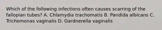 Which of the following infections often causes scarring of the fallopian tubes? A. Chlamydia trachomatis B. Pandida albicans C. Trichomonas vaginalis D. Gardnerella vaginalis