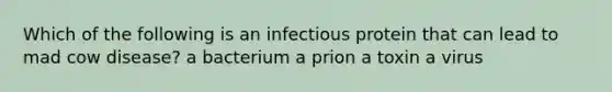 Which of the following is an infectious protein that can lead to mad cow disease? a bacterium a prion a toxin a virus