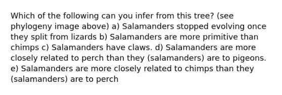 Which of the following can you infer from this tree? (see phylogeny image above) a) Salamanders stopped evolving once they split from lizards b) Salamanders are more primitive than chimps c) Salamanders have claws. d) Salamanders are more closely related to perch than they (salamanders) are to pigeons. e) Salamanders are more closely related to chimps than they (salamanders) are to perch