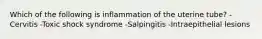 Which of the following is inflammation of the uterine tube? -Cervitis -Toxic shock syndrome -Salpingitis -Intraepithelial lesions